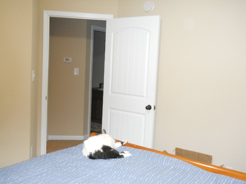 Tims Room4